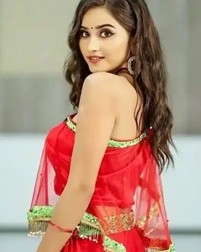 Call Girls Service Vadnagar
